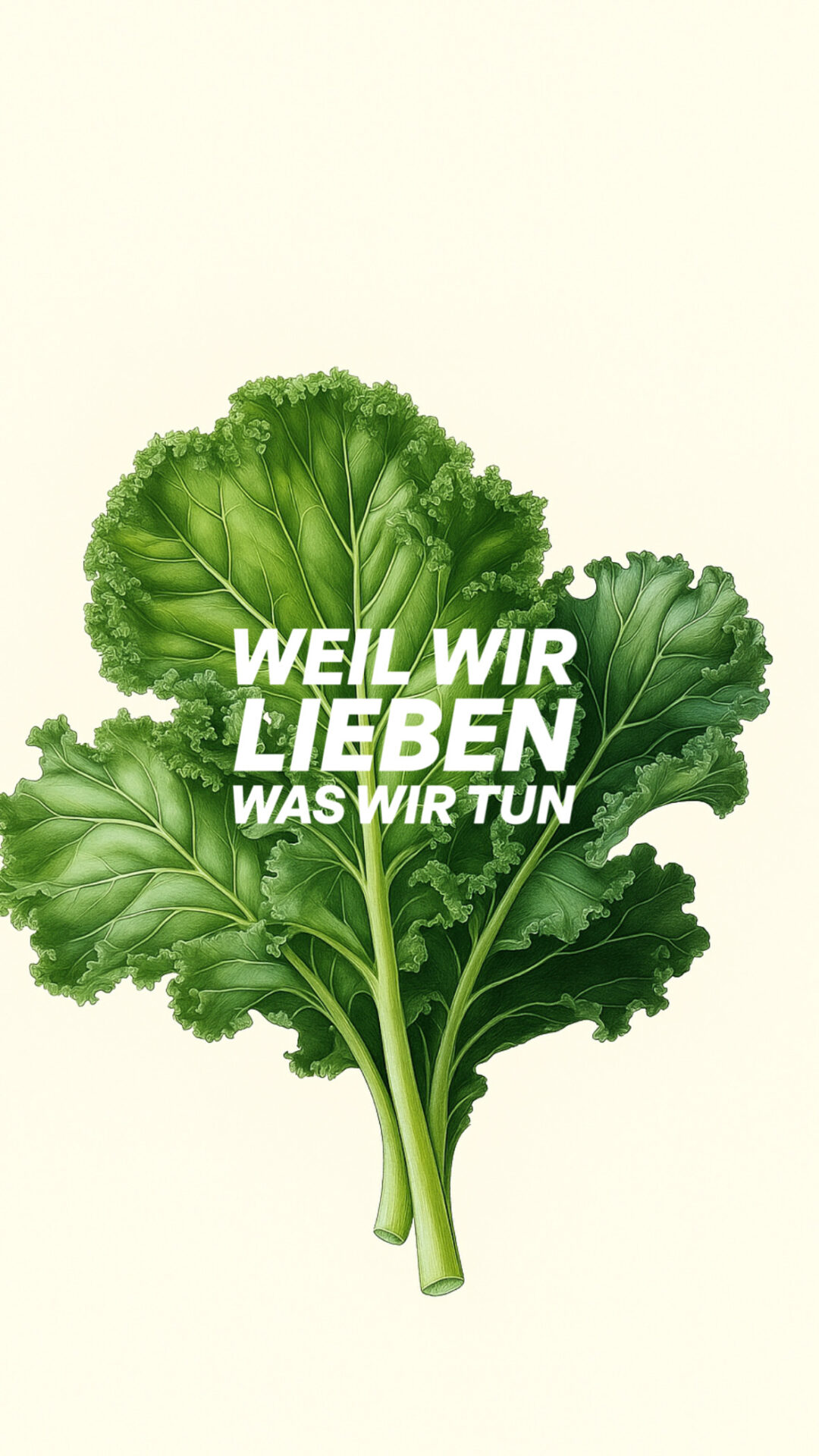 FB1A8711-4F2C-476C-9B53-A51AD170B675 Grünkohl Satt 29.11.25